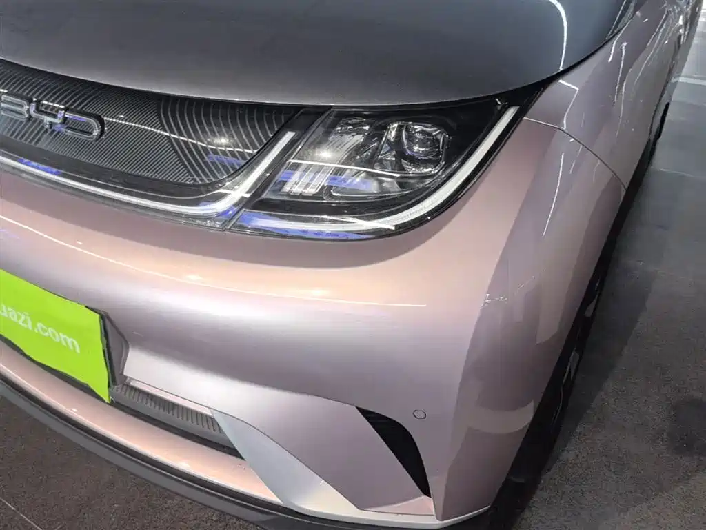 BYD Dolphin 2023 401km Knight Edition фото 24