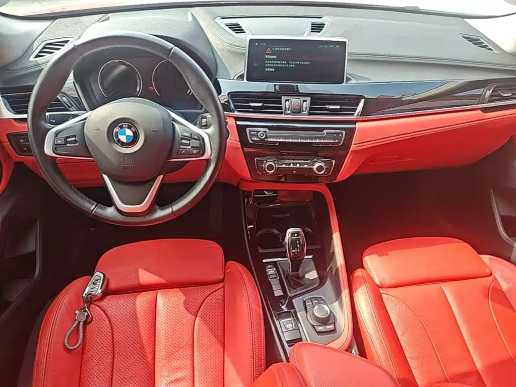 BMW X2 (Import) 2019 sDrive20i M Off-Road Package China VI фото 10