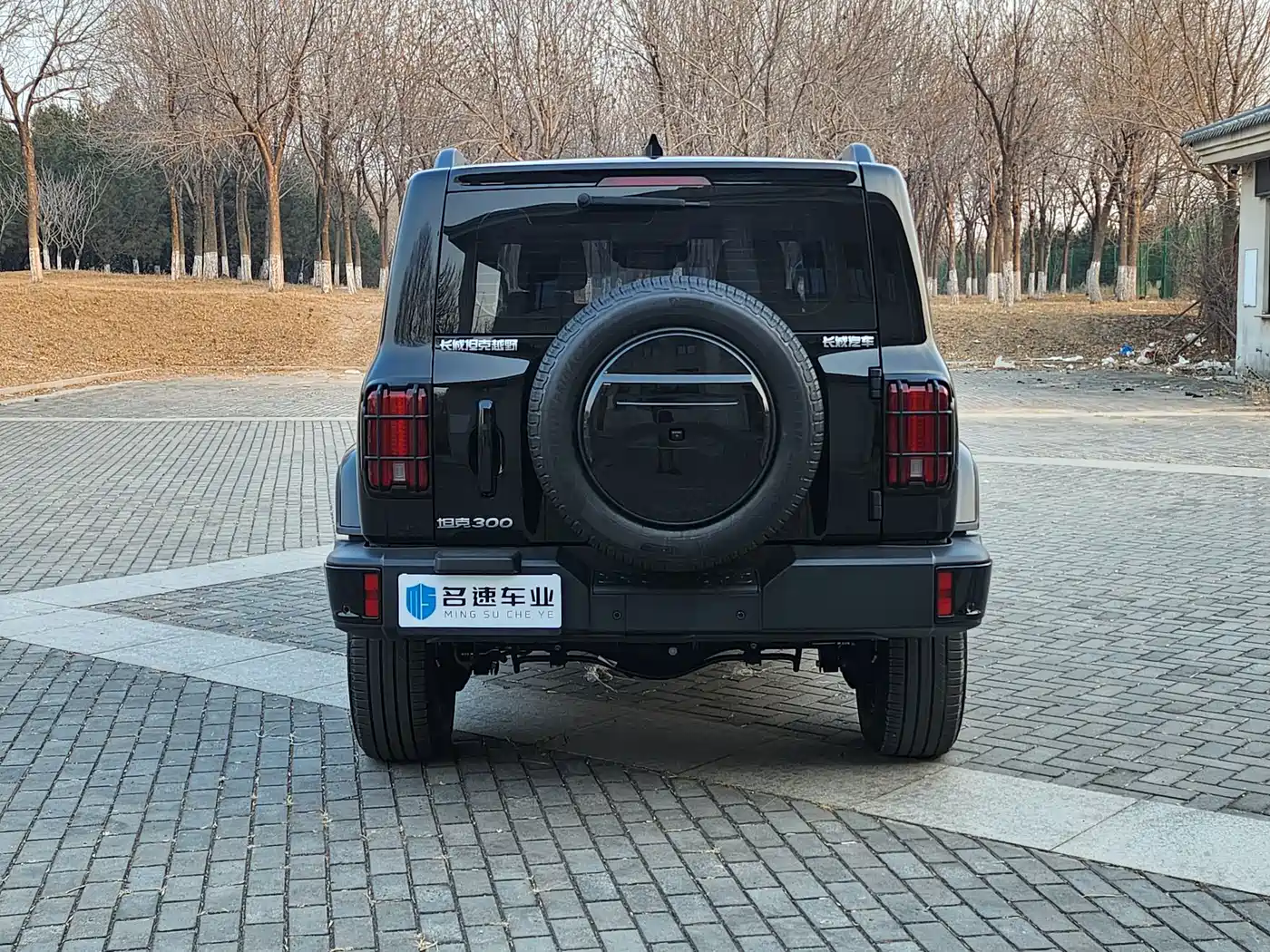 Tank 300 2024 2.0T Explorer фото 15