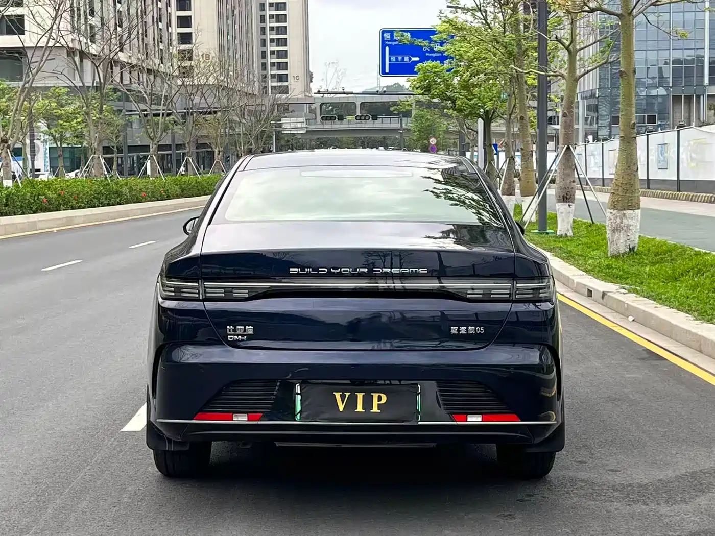 BYD Destroyer 05 2024 Glory Edition DM-i 55KM Luxury фото 12