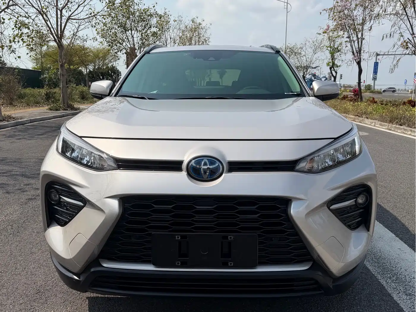 Toyota Wildlander 2020 Hybrid 2.5L E-CVT AWD Luxury Edition фото 2