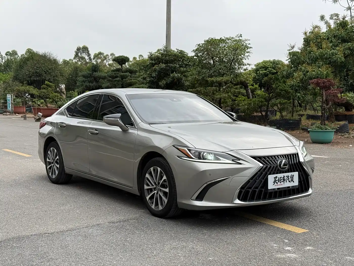 Lexus ES 2022 260 Excellence Edition фото 3
