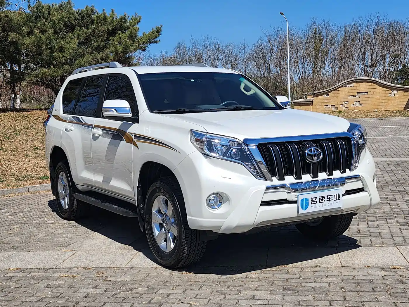 Toyota Prado (Import) фото 3