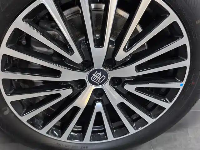 BYD Dynasty-D, фото 3