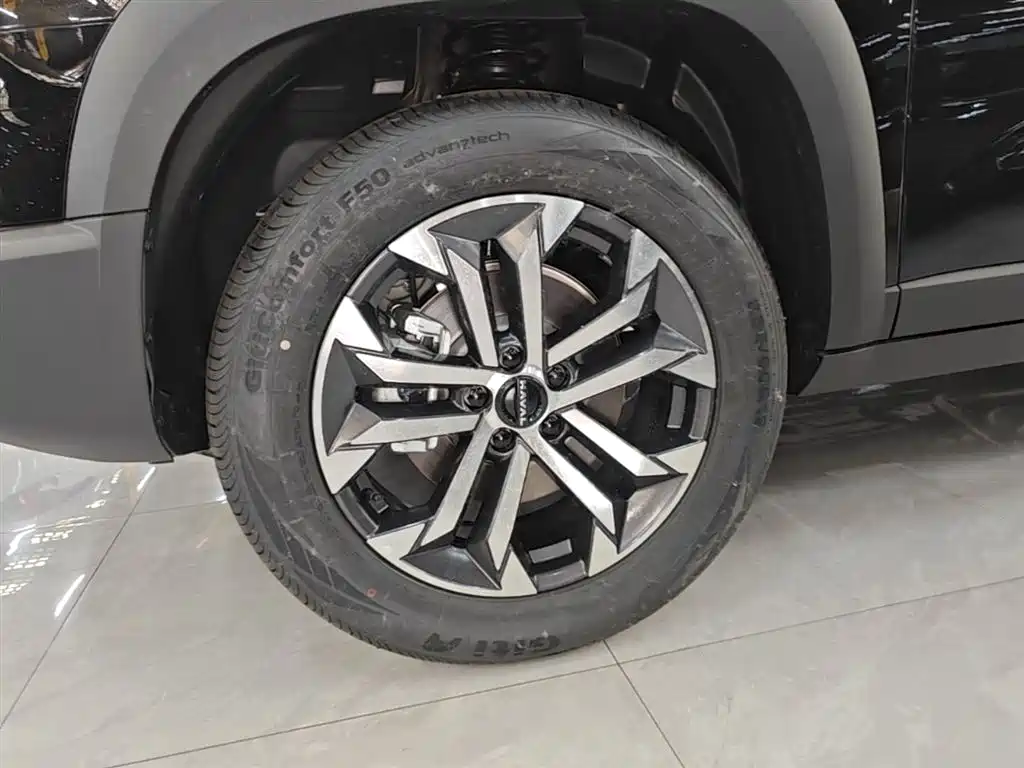Haval Big Dog 2026 Model 1.5T High Configuration фото 23