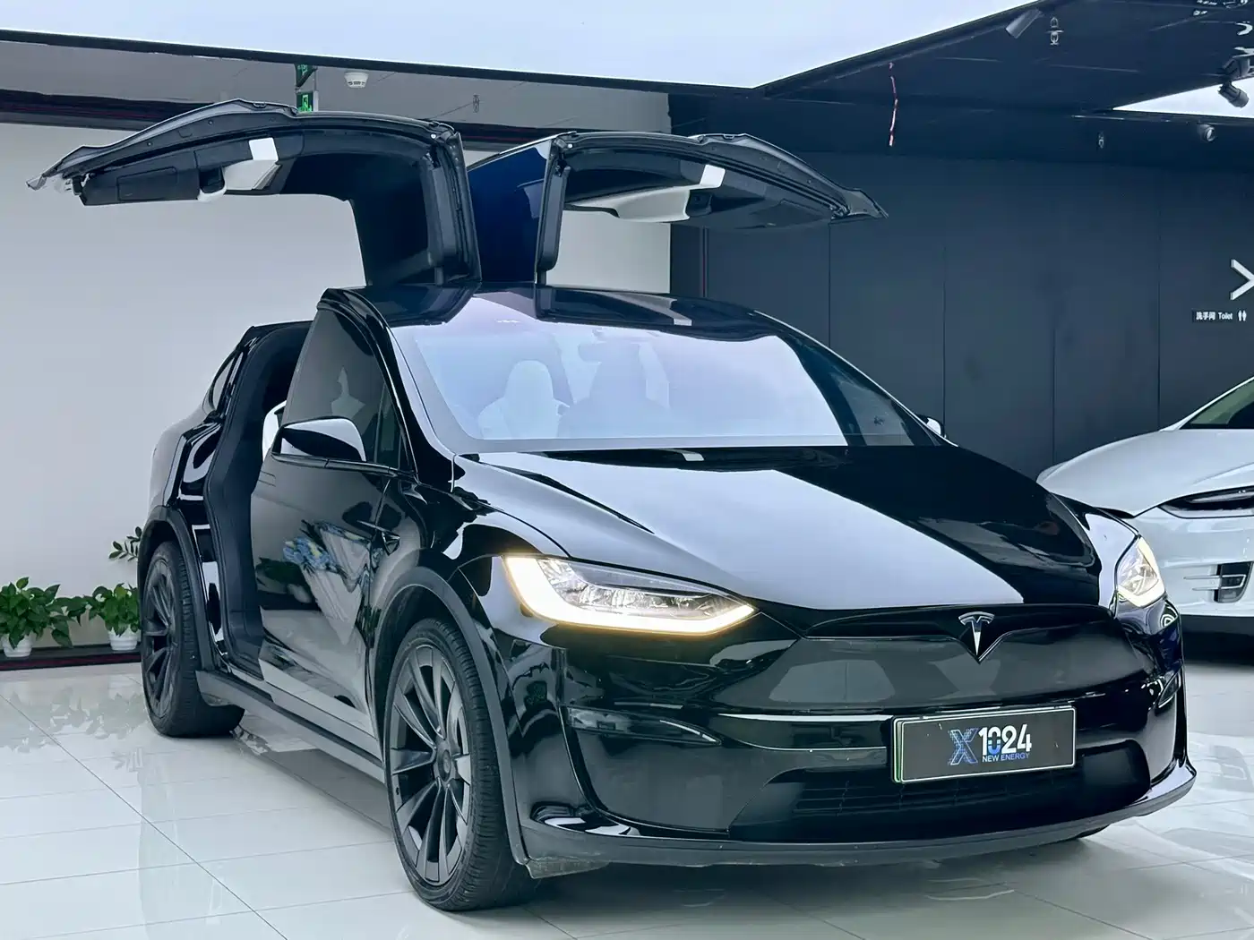 Tesla Model X 2023 2023 Dual Motor All-Wheel Drive Edition