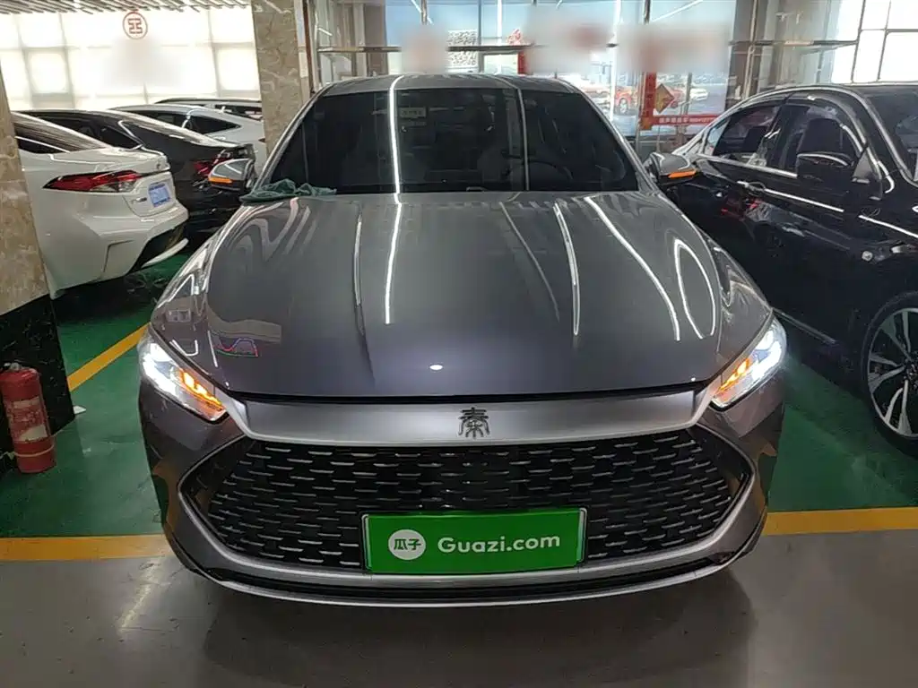 BYD Qin PLUS 2024 Glory Edition DM-i 55KM Leading фото 3