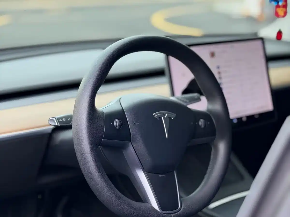 Tesla Model Y 2021 2021 Standard Range Rear-Wheel Drive
