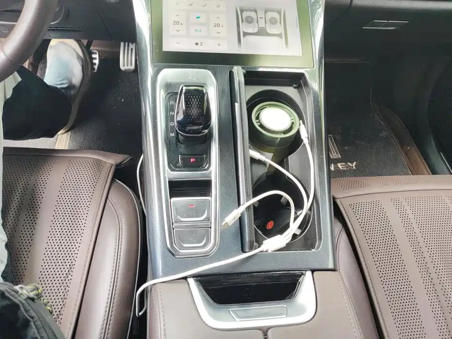 WEY Mocha 2021 2021 2.0T 2WD Premium Edition