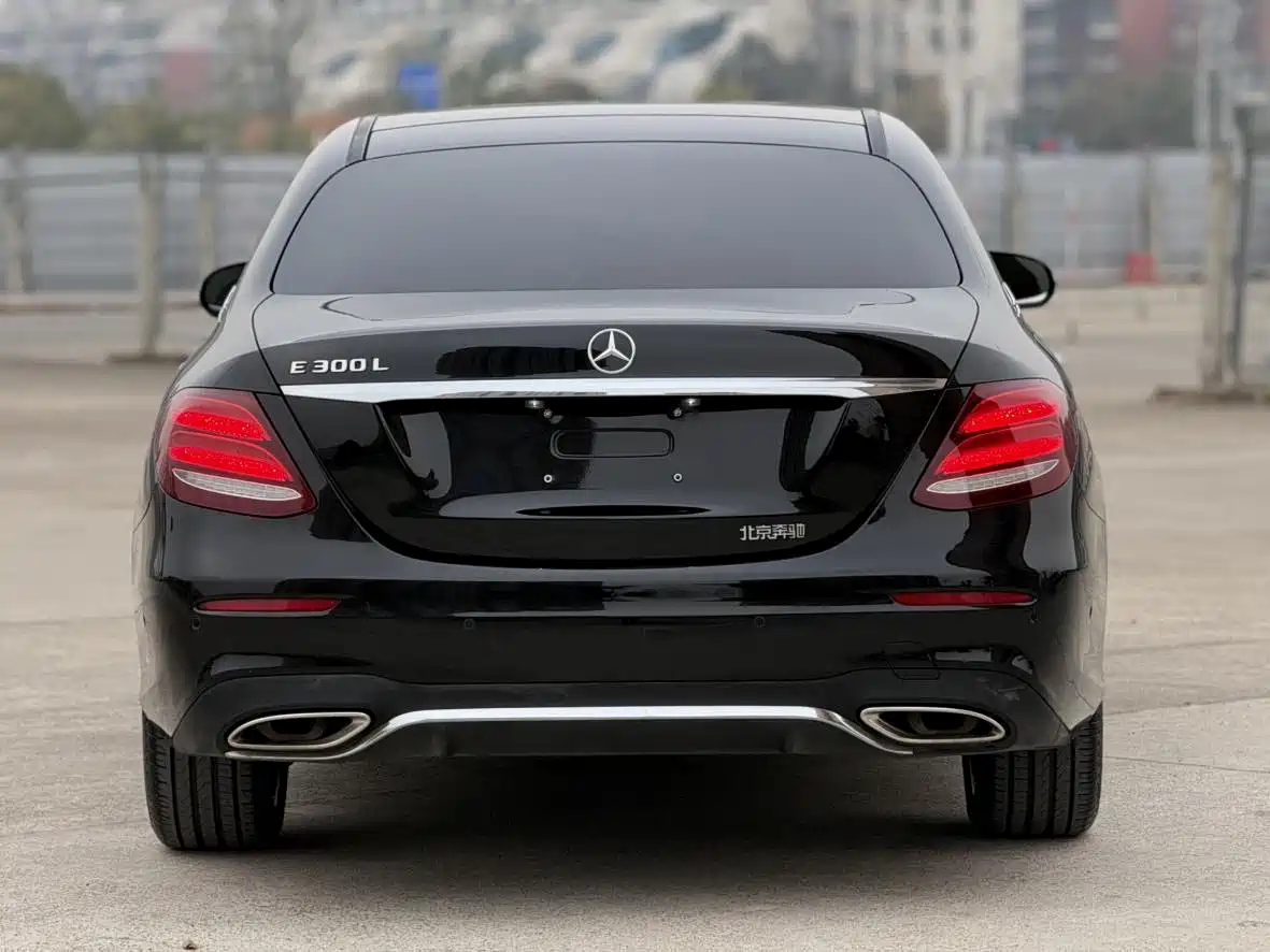 Mercedes-Benz E-Class 2020 E 300 L Luxury Model фото 12
