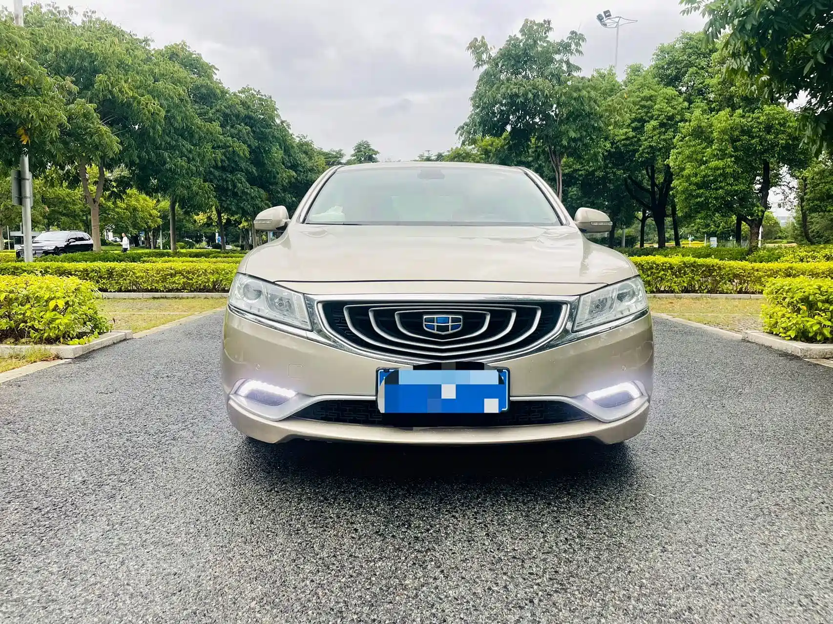Фото 2 - Geely Borui