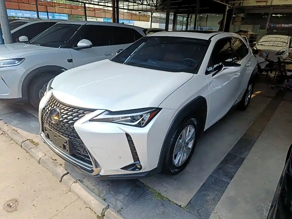 Lexus UX 2021 2020 260h Explore Fun Edition