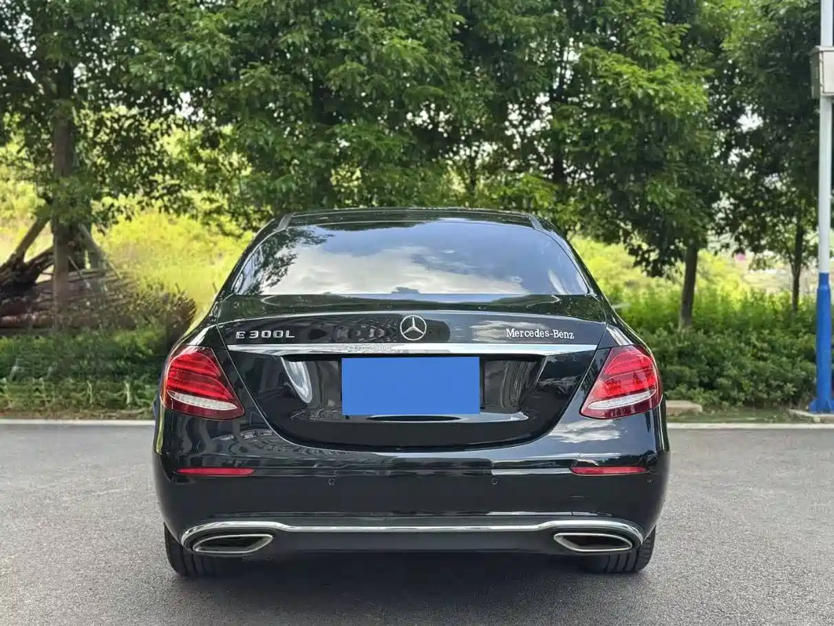 Mercedes-Benz E-Class 2020 Facelift E 300 L Fashion фото 5