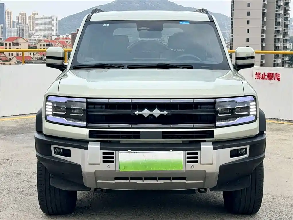 FANG CHENG BAO LEOPARD 5