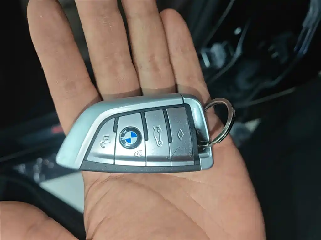 BMW 5 Series 2018 Facelift 530Li Exclusive Luxury Package фото 9