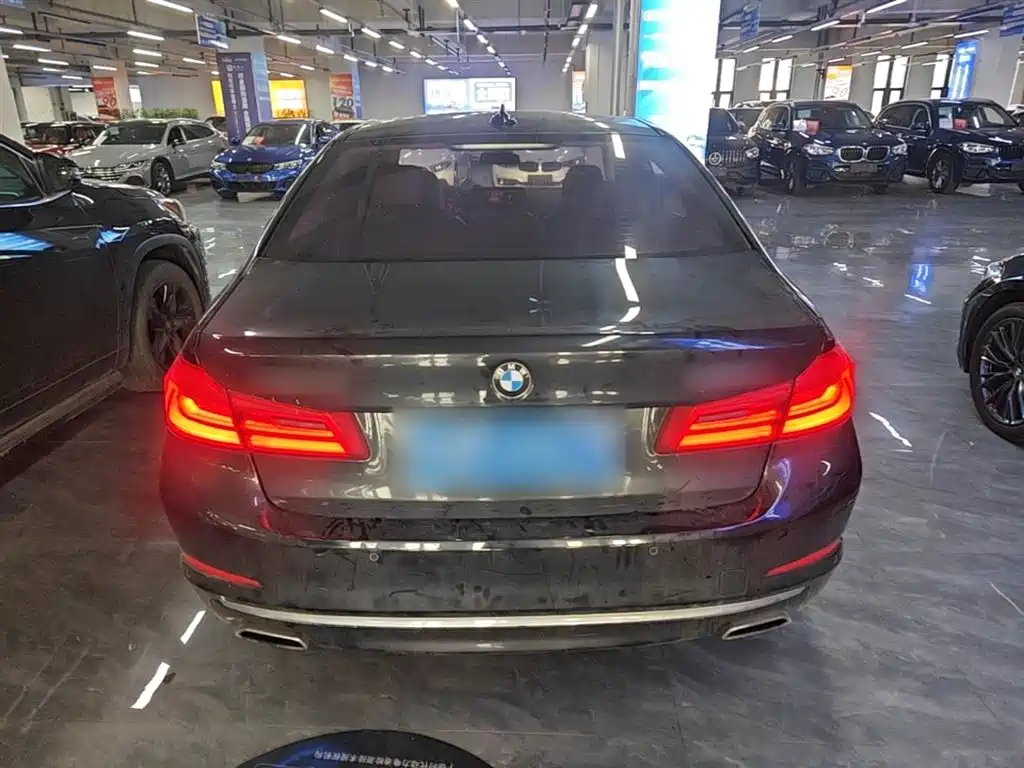 BMW 5 Series 2020 525Li Luxury Package фото 6