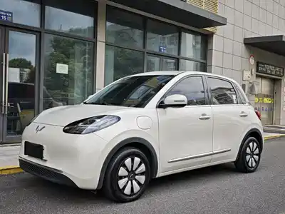 Wuling Bingo