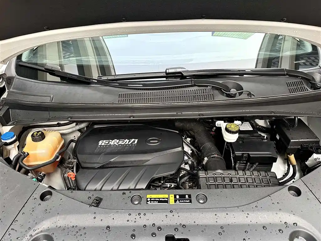 GAC Trumpchi Trumpchi M8 2024 Master Series 400T Premium Edition фото 27