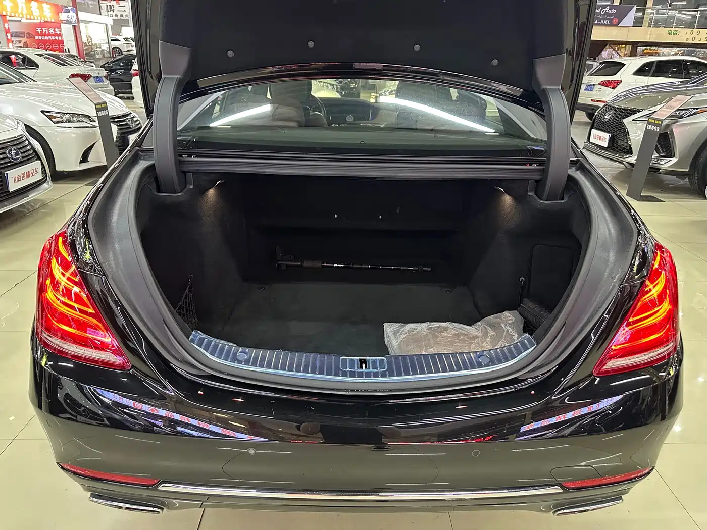 Mercedes-Benz S-Class 2014 S 600 L фото 16