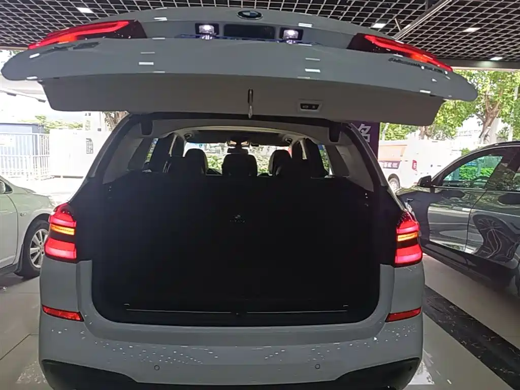 BMW X3 2021 xDrive30i Leading M Sport Package фото 19