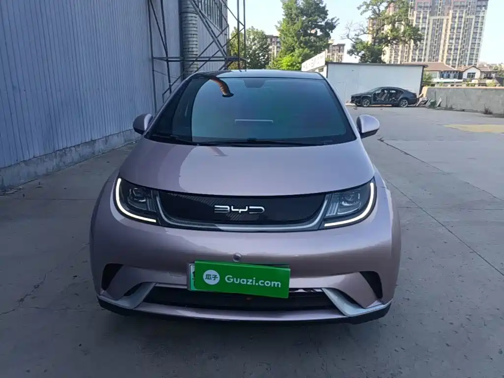 BYD Dolphin 2022 2021 Model 405km Fashion Edition