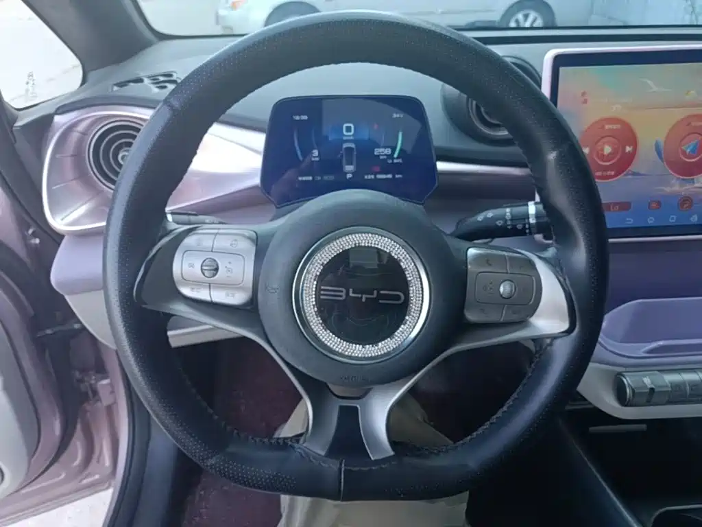 BYD Dolphin 2022 2021 Model 405km Fashion Edition