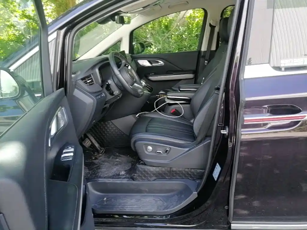 Hongqi HQ9 PHEV 2024 Model 2.0T AWD Business Edition фото 12