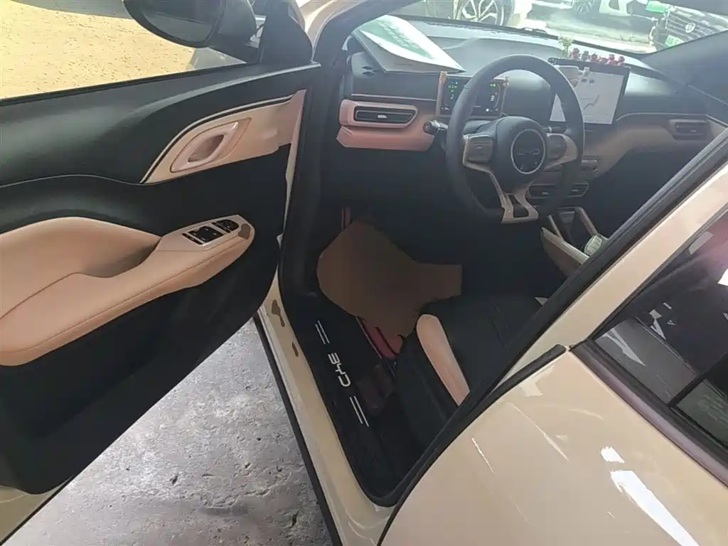 BYD Seagull 2024 Glory Edition 305km Vitality Edition фото 15