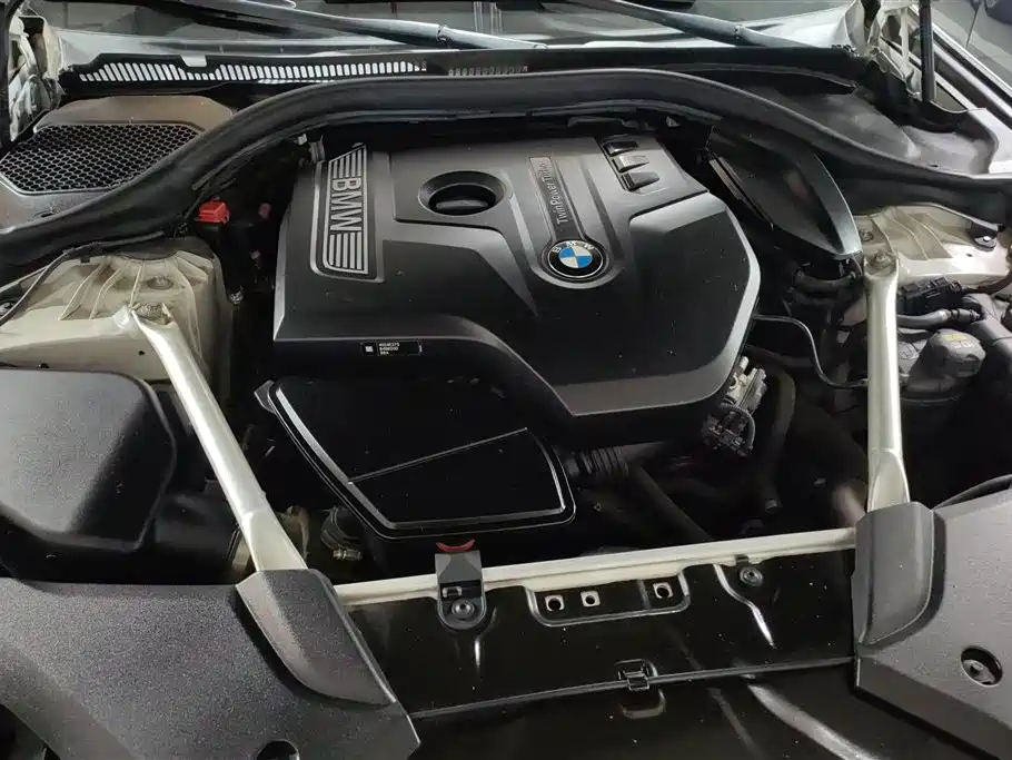 BMW 5 Series 2018 Facelift 530Li xDrive Luxury Package фото 10