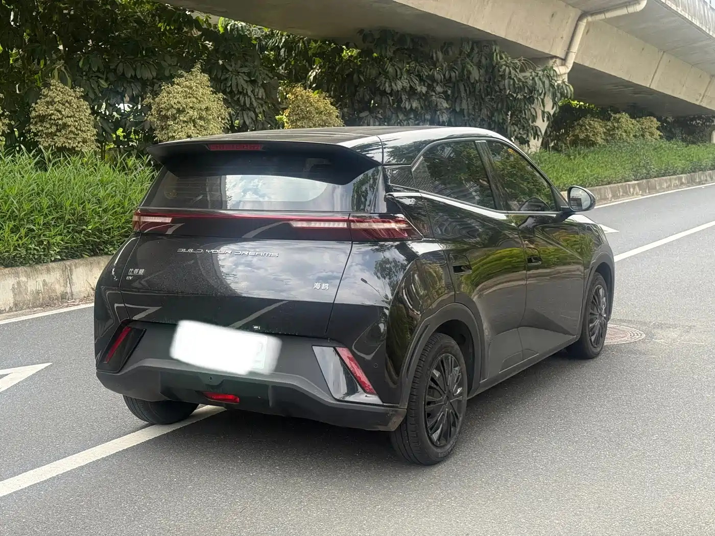 BYD Seagull 2024 Glory Edition 305km Vitality Edition фото 6