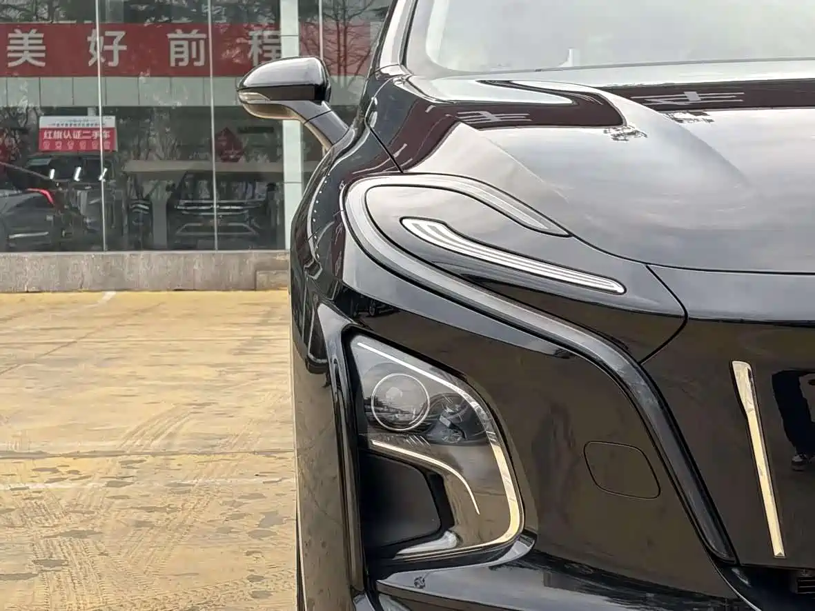 Hongqi E-QM5 2024 560km PLUS фото 15