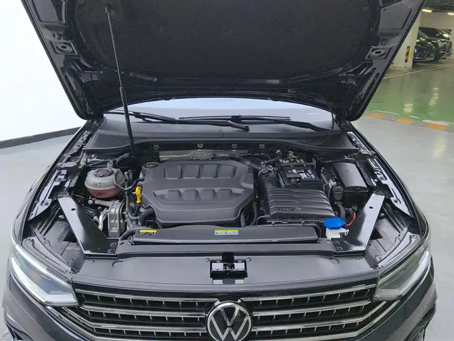 Volkswagen Magotan 2025 Popular Edition 330TSI DSG Luxury фото 10