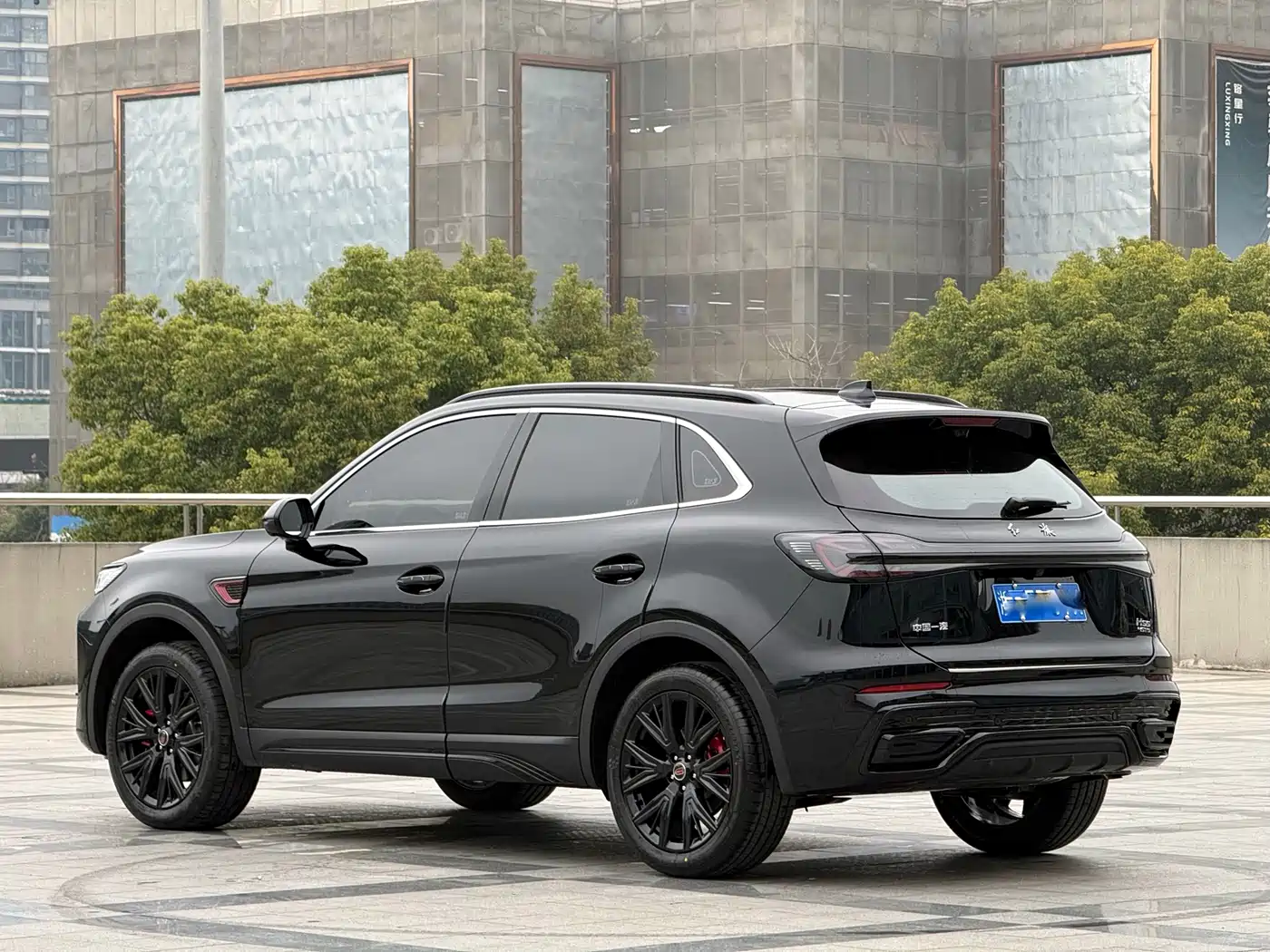 Hongqi HS5 2026 2.0T 2WD Mystic Shadow Edition фото 9