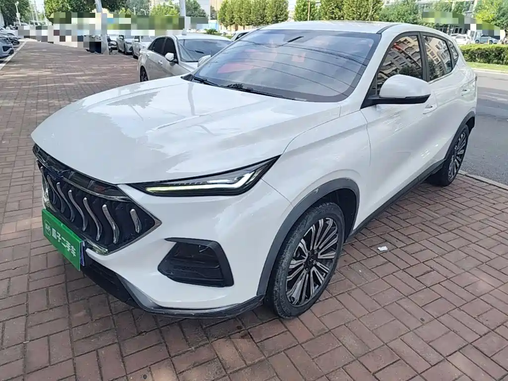 Фото 1 - Changan Oshan Changan Oushang X5