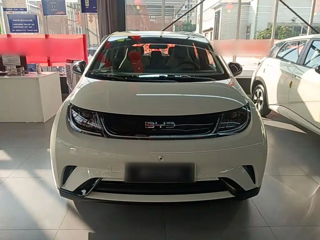 Фото 3 - BYD Dolphin