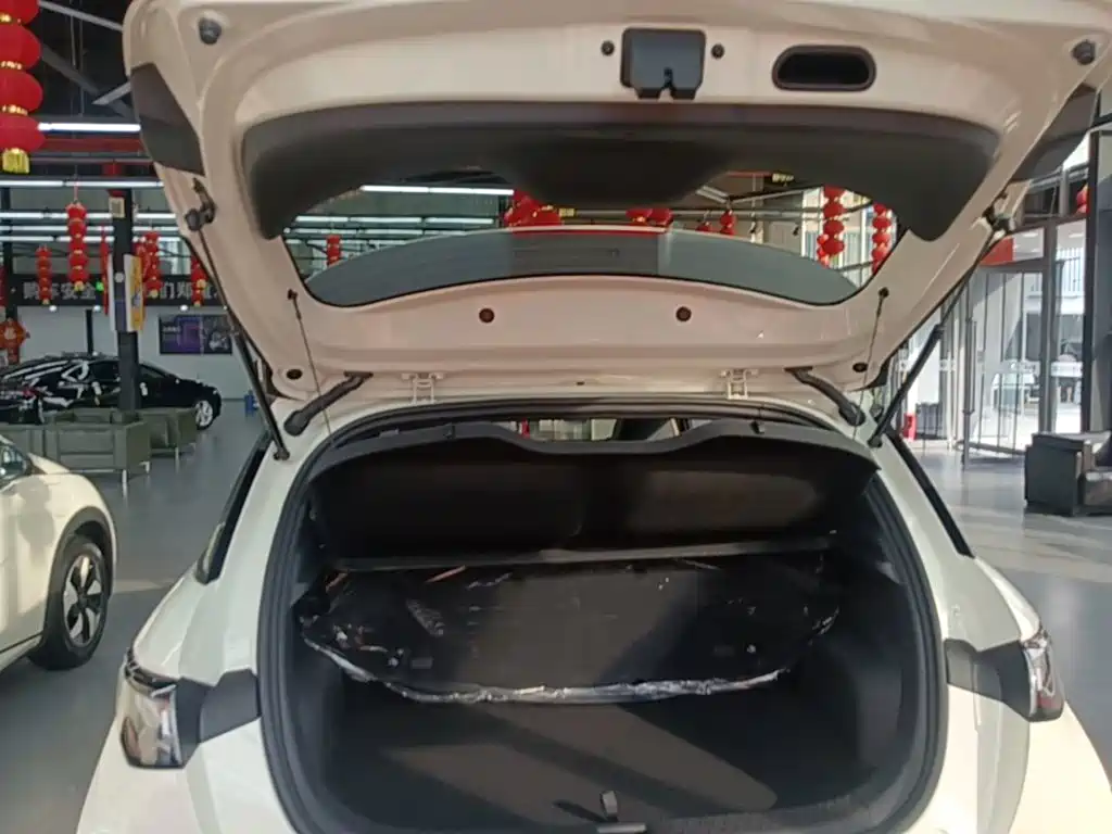 BYD Dolphin 2026 2025 420km Freedom Edition