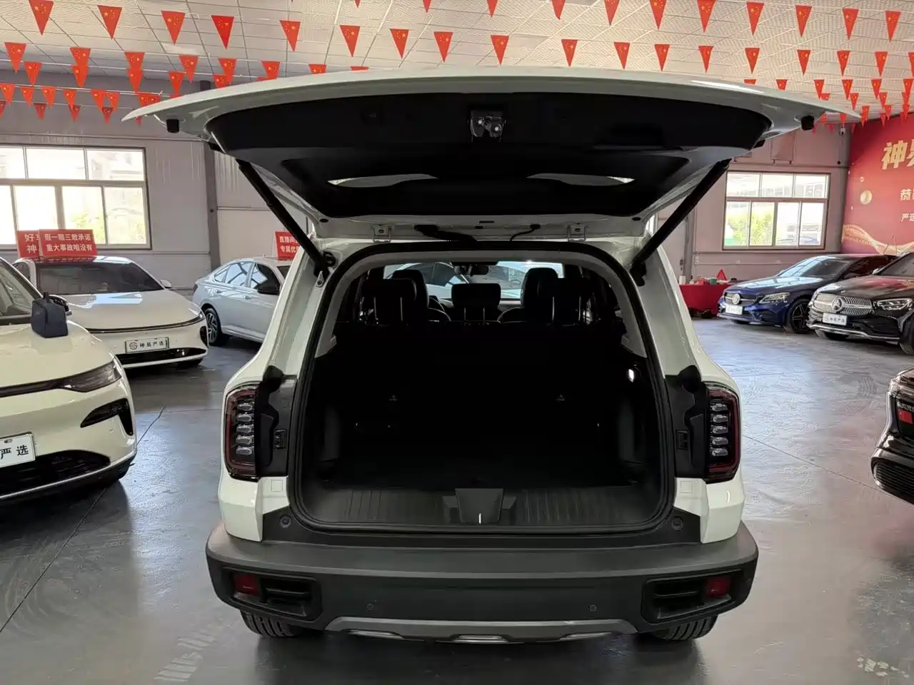 Haval Big Dog 2024 1.5T DCT Border Collie Edition фото 12