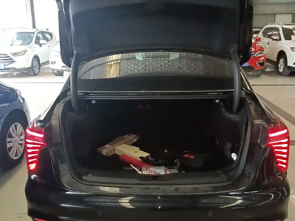 Hongqi H5 2024 2.0T Automatic Smart Connect Flag Smooth Edition фото 19