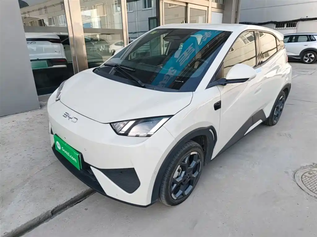BYD Seagull 2025 Smart Drive Edition 305km Freedom Version фото 2