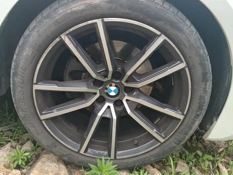 BMW 3 Series 2021 325Li M Sport Package фото 6
