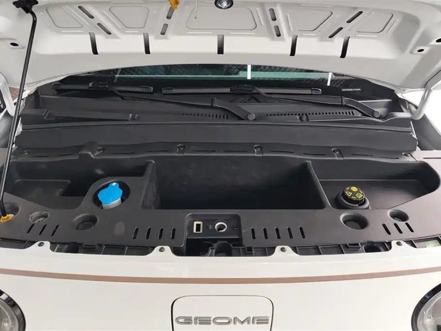 Geely Galaxy Panda 2023 Panda Mini 200km Endurance Bear фото 10