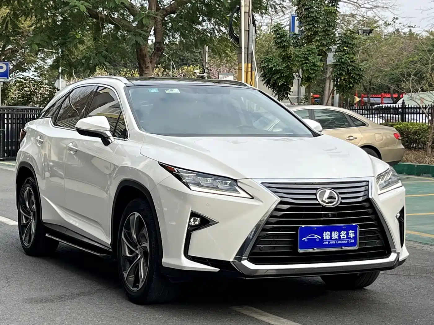 LEXUS RX