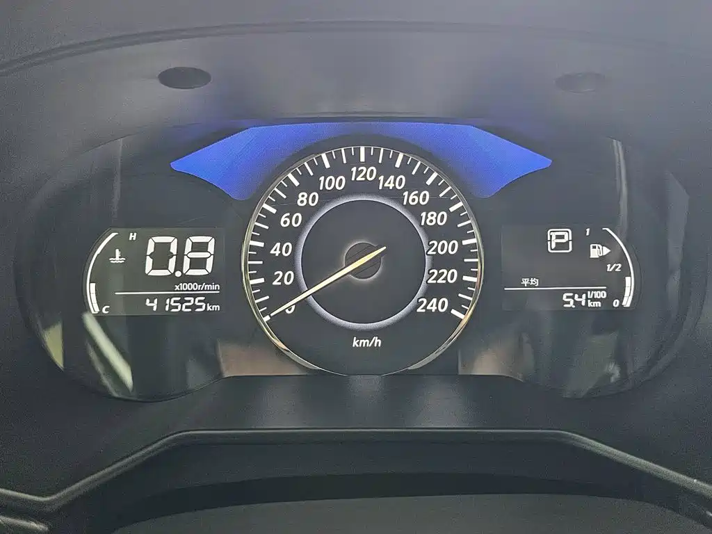 2025 Venucia D60