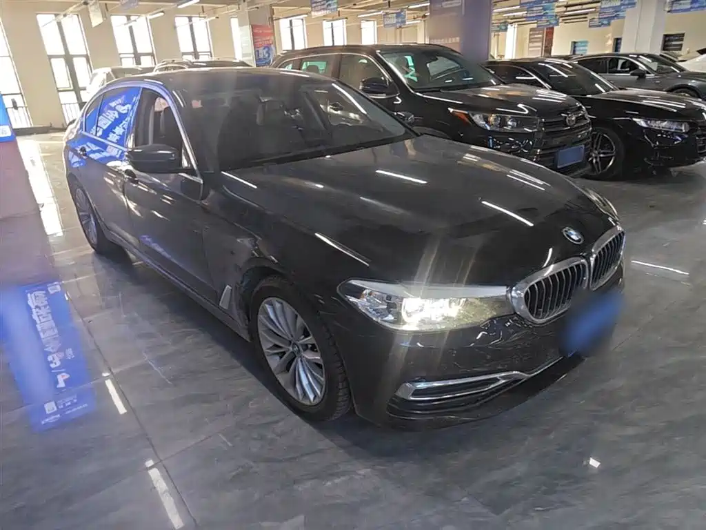 BMW 5 Series 2020 525Li Luxury Package фото 4