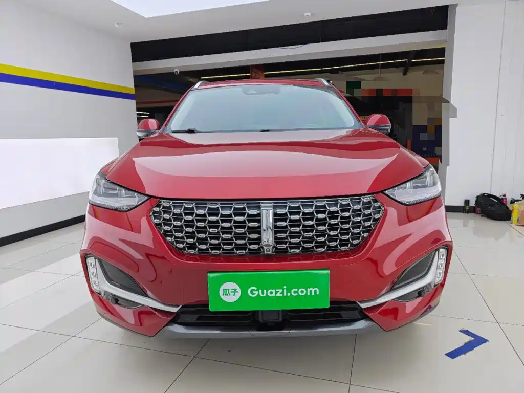 2021 WEY VV6