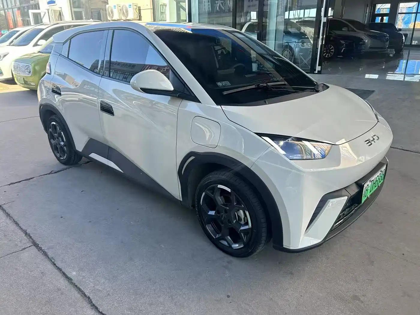 BYD Seagull 2024 Glory Edition 305km Freedom Edition фото 3