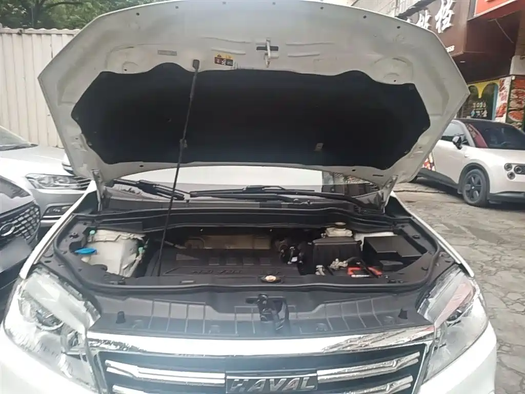 Haval H6 2017 Red Label Sport 1.5T Automatic 2WD Luxury фото 20