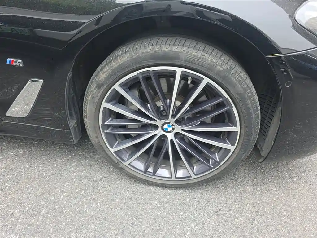 BMW 5 Series 2022 530Li Leading M Sport Package фото 14