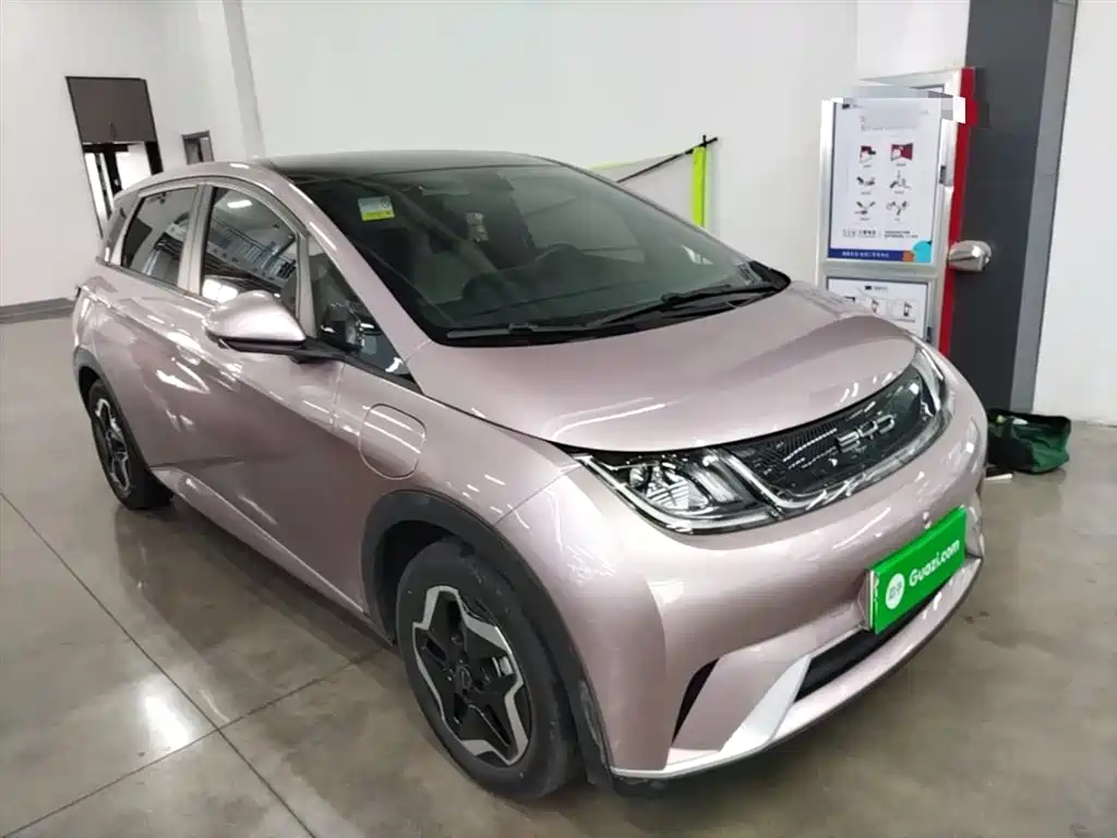 BYD Dolphin 2021 Model 405km Fashion Edition фото 22