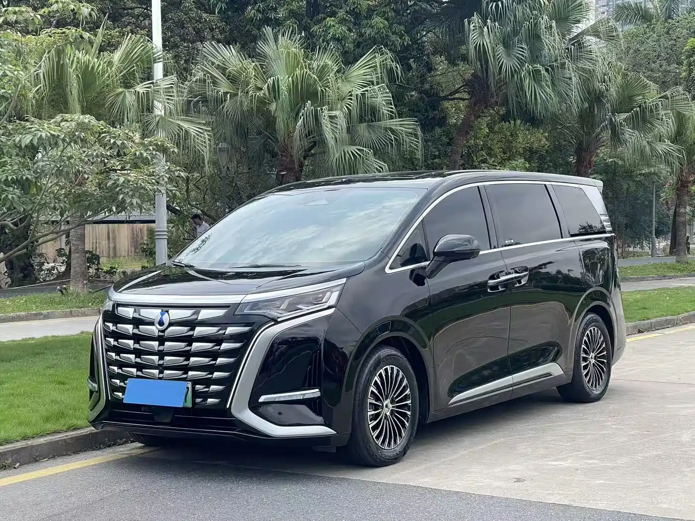 Denza D9 2024 DM-i 980 AWD Flagship